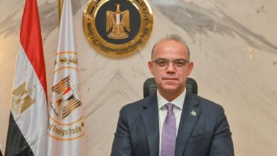 الدكتور محمد فريد وزير الاستثمار والتجارة الخارجية