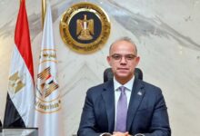 الدكتور محمد فريد صالح، وزير الاستثمار والتجارة الخارجية