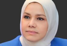 رشا عبد العال، رئيس مصلحة الضرائب المصرية