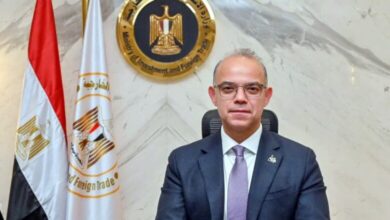 الدكتور محمد فريد صالح، وزير الاستثمار والتجارة الخارجية