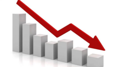 معدل البطالة السنوي في 2025