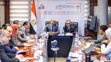 اجتماع وزيرا التخطيط والعمل ،   الدكتور أحمد رستم، وزير التخطيط والتنمية الاقتصادية،   تنمية رأس المال البشري ، رأس المال البشري ، التخطيط والعمل ، التخطيط  ، العمل