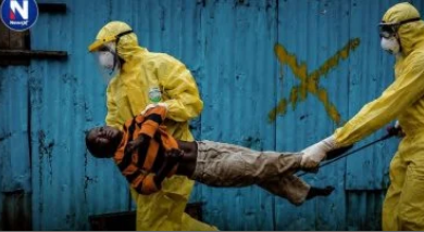 مدير منظمة الصحة العالمية: إعلان حالة الطوارئ الصحية لـ فيروس الإيبولا