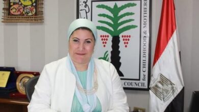 الدكتورة سحر السنباطي، رئيسة المجلس القومي للطفولة والأمومة