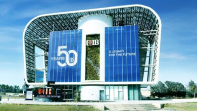 البنك التجاري الدولي ، البنك التجاري الدولي (CIB) ،