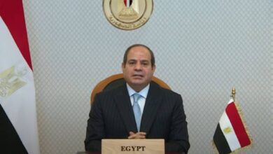 الرئيس عبدالفتاح السيسى ، الرئيس السيسى