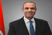 الدكتور بدر عبدالعاطي، وزير الخارجية والهجرة