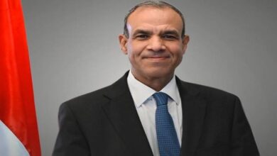 الدكتور بدر عبدالعاطي، وزير الخارجية والهجرة